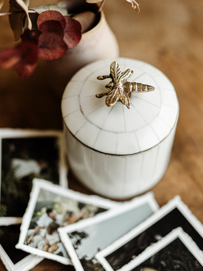 L'Écrin des Instants - L' Abeille avec son lot de 8 p'tits chefs d'oeuvre