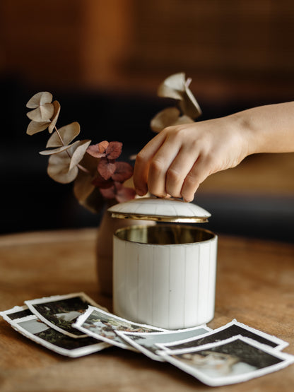 L'Écrin des Instants - L' Abeille avec son lot de 8 p'tits chefs d'oeuvre