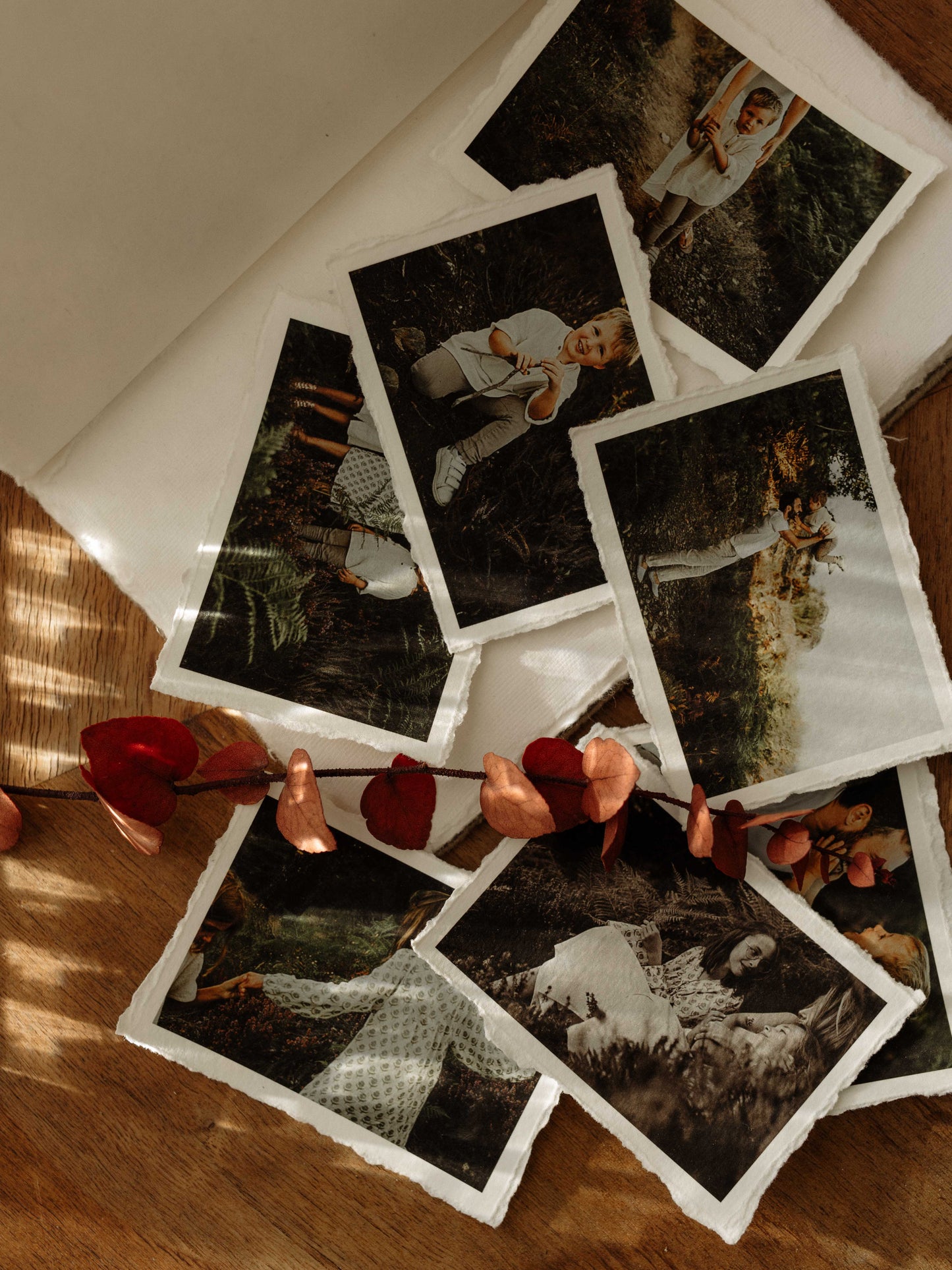 Lot de P'tits chefs d'oeuvre